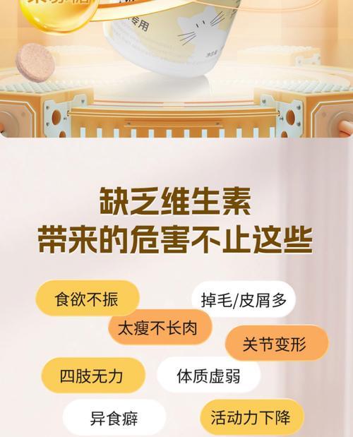 富含维B的猫食物大揭秘（宠物猫健康饮食的秘密武器）