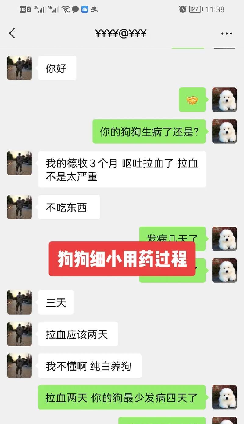 犬细小潜伏期的长短影响疾病传播（探究犬细小病毒潜伏期的关键要素）