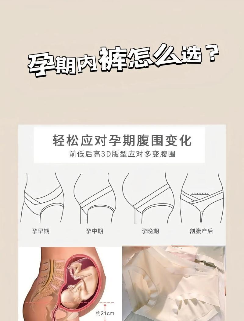 探秘孕肚形成的奥秘（孕肚形成时间揭秘，了解一次怀孕的变化）