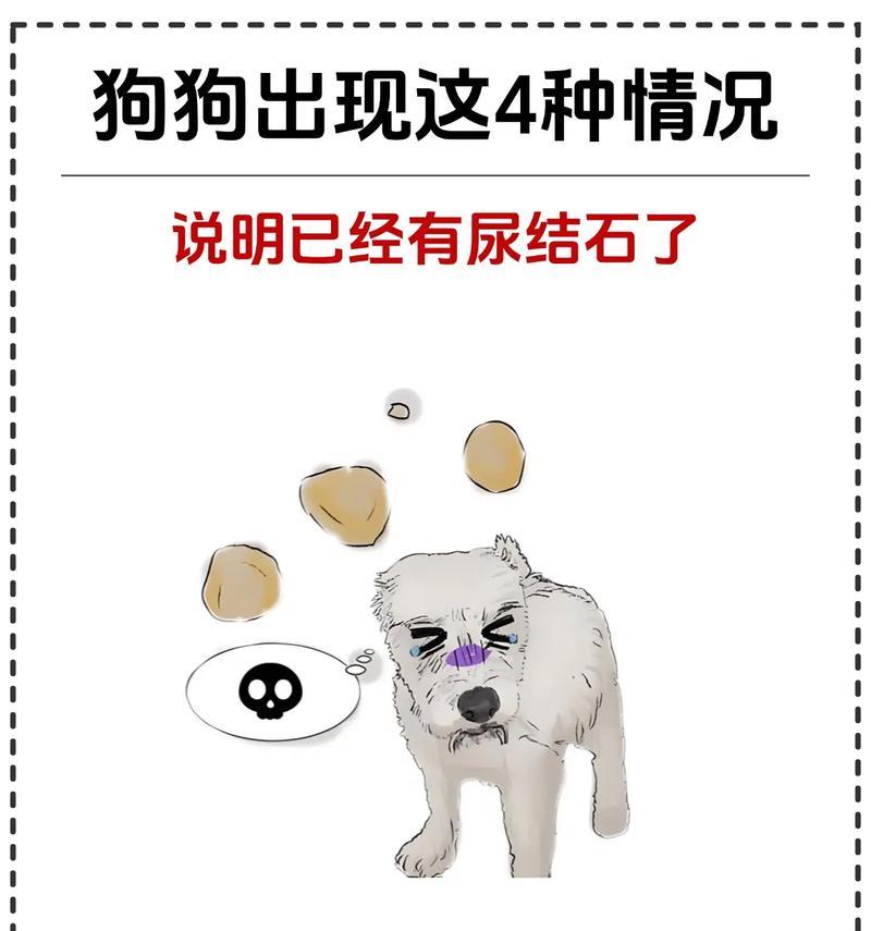 狗狗膀胱结石（了解狗狗膀胱结石的种类和如何有效治疗）