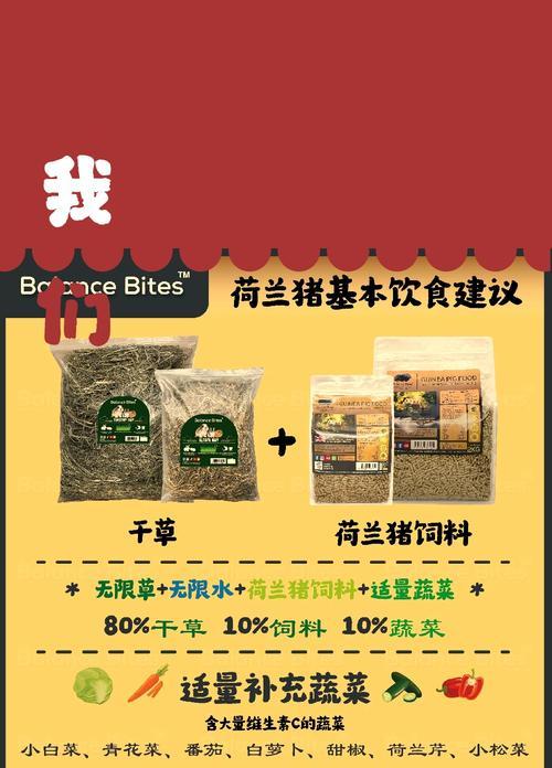 荷兰猪的安全饮水量及其不同生理时期的需求（了解荷兰猪饮水量的重要性及合理补水的方法）