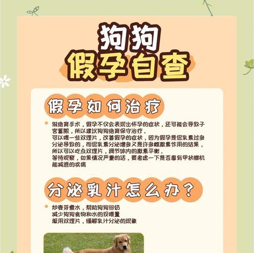 狗狗怀孕期的饮食禁忌与注意事项（了解狗狗怀孕期的饮食限制，守护宝宝的健康成长）
