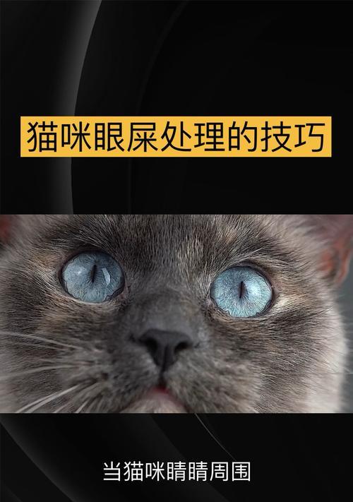 消除猫咪眼屎的有效方法（了解眼屎的原因及预防措施）