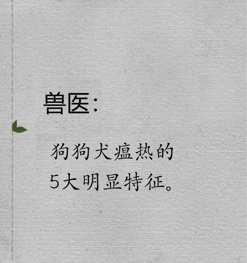 犬瘟病下狗犬生命的倒计时（探究犬瘟病致命的速度与关键因素）