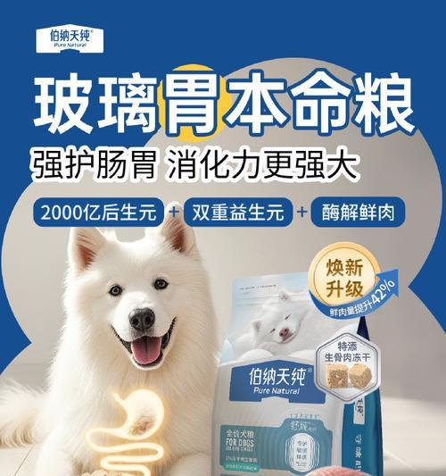 狗的开胃药（为宠物狗恢复健康食欲的秘密武器）