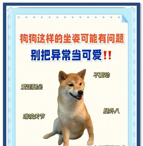为什么狗狗不长个子？—探究5个可能原因（从遗传到饮食，这些因素影响了狗狗的生长发育）