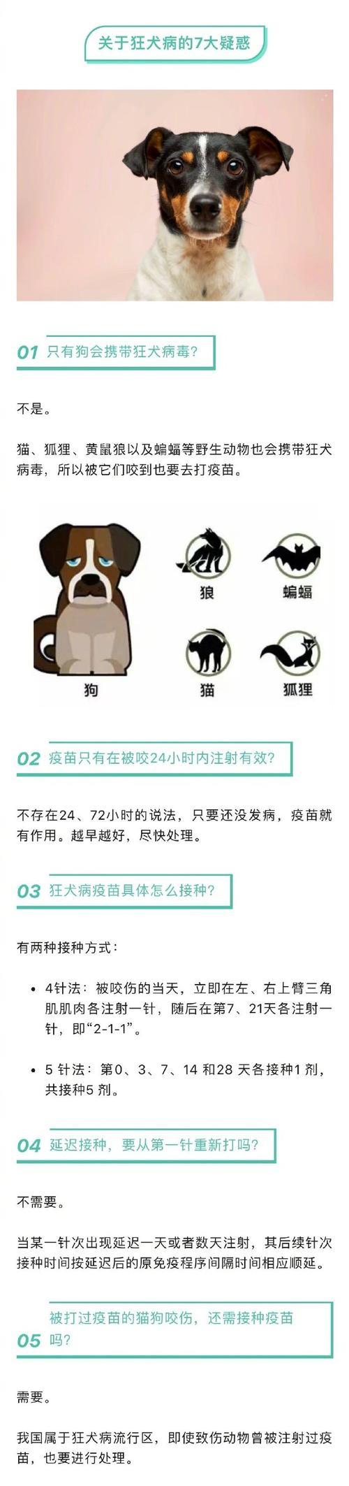 保护自己和他人，狂犬疫苗及时注射的重要性（了解狂犬疫苗注射时限，预防狂犬病的传播）