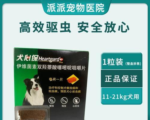 萨摩耶吃虫药的频率及注意事项（科学喂养宠物犬，合理控制虫药用量）