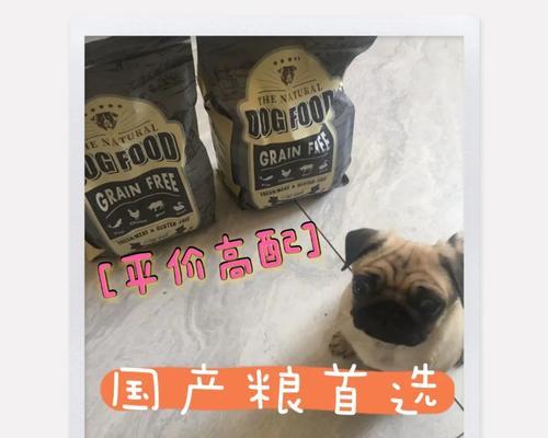 狗狗生完后多久可以开始吃狗粮？（了解狗狗产后饮食需求与时间表）