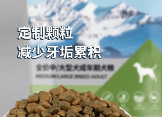 泰迪幼犬狗粮泡水时间与方法（科学的泡水时间和注意事项，让泰迪宝宝吃得健康快乐）