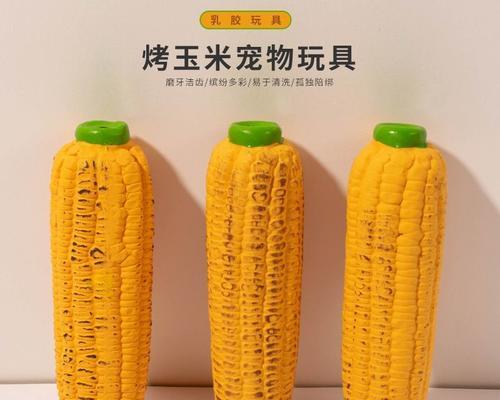 宠物狗的粗粮选择及相关注意事项（了解宠物狗的粗粮种类和食用方法，让它们健康成长）