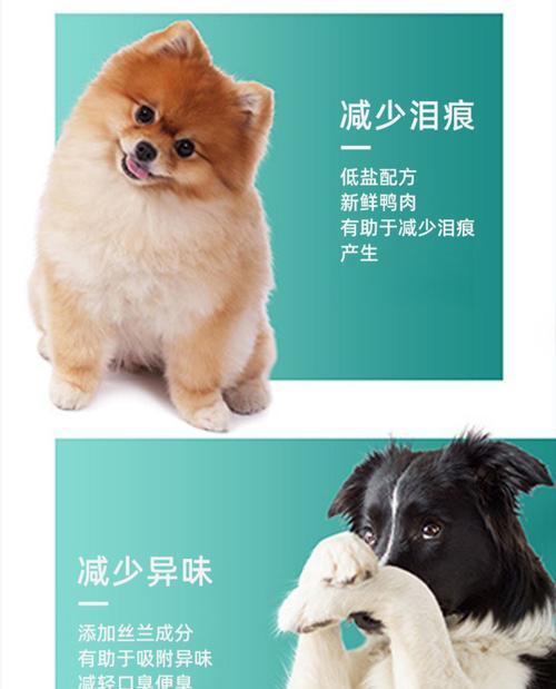 边牧狗什么时候可以全面吃狗粮？（边牧狗从断奶到全面吃狗粮需要多久？）