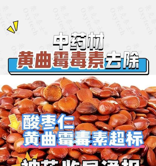狗粮黄曲霉素超标，宠物健康受威胁（揭开狗粮行业的黄曲霉素问题，以及如何保护宠物健康）