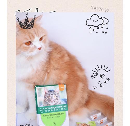 猫拜耳——为您的猫咪打造全面驱虫计划（详解猫拜耳的各类驱虫功能及使用方法）