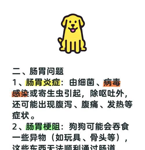 狗狗呕吐的原因与处理方法（掌握识别狗狗呕吐原因的方法，有效处理宠物健康问题）