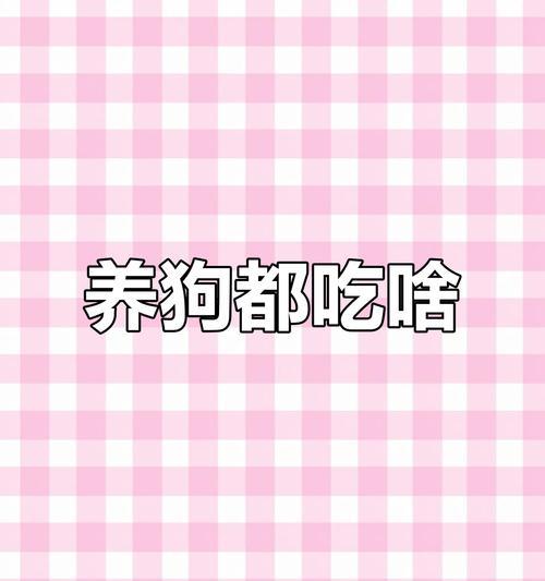 柯基宠物如何正确补充微量元素？（科学饮食保持宠物健康）