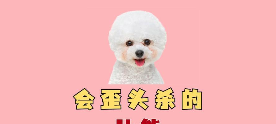 狗狗为什么会歪头？（探寻狗狗歪头的原因及解析）