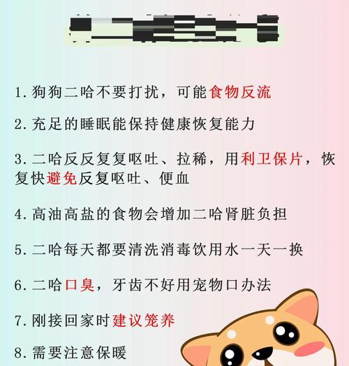 避免这七个错误，正确喂养你的狗狗（铲屎官们，快来避雷了！）
