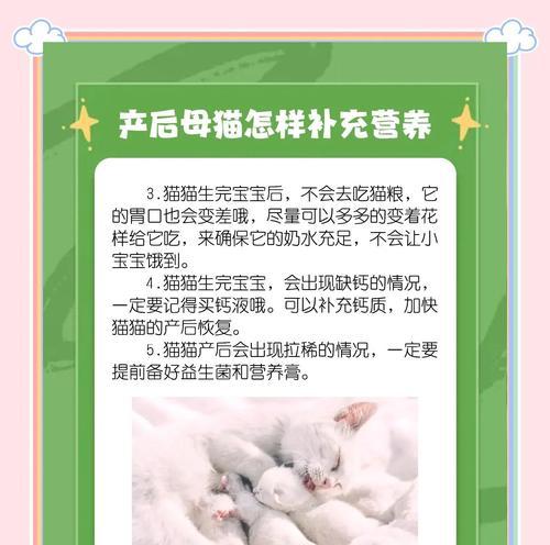 母猫配对周期及繁殖习性解析（了解母猫的繁殖周期和交配特征，提高繁殖效率）