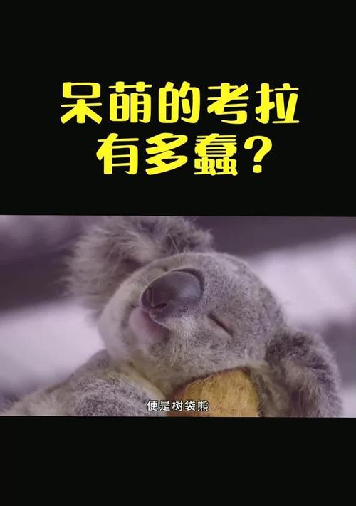 澳大利亚国宝考拉（探索十种愚蠢动物的奇妙世界，揭秘考拉的独特魅力）