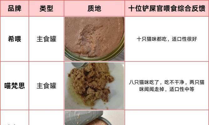 猫罐头的保质期和合理用完时间（探究猫罐头的保质期和如何合理安排喂食时间）