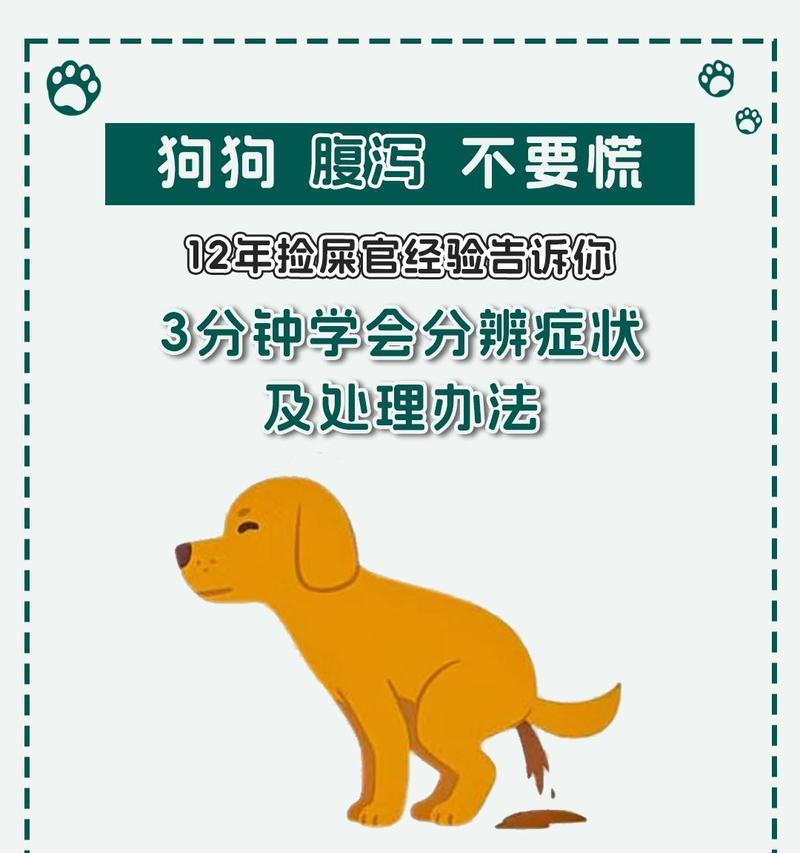 狗狗呕吐拉稀的原因和应对方法（解决狗狗呕吐拉稀问题，健康快乐成长）