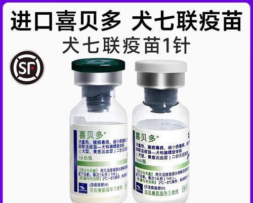 狗狗疫苗（掌握适时接种，保障宠物健康）