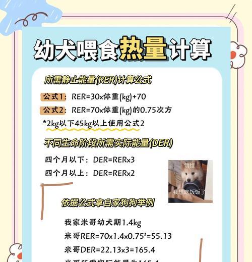 金毛幼犬多久能洗澡？（洗澡时间的合理安排与注意事项）