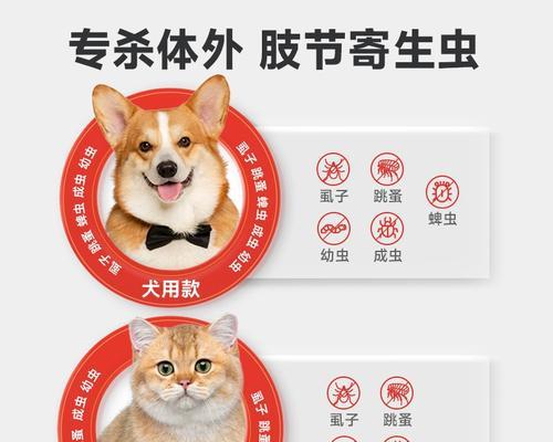 宠物狗的驱虫周期及注意事项（为爱犬健康着想，合理安排驱虫时间）