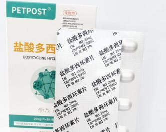 人类药物在狗身上可用吗？（了解哪些人类药物可以安全给狗使用）