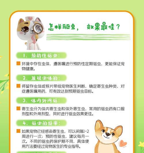 宠物驱虫和疫苗（宠物健康护航，驱虫和疫苗两不误）