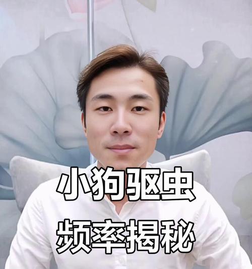 狗吃了驱虫药多久可以吃饭？（驱虫药后的饮食安排及注意事项）