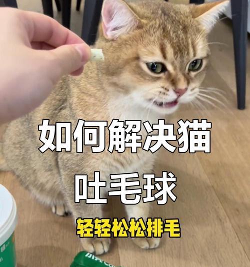 猫咪吐毛球的频率及预防方法（探讨猫咪吐毛球的时间间隔，了解如何有效预防）