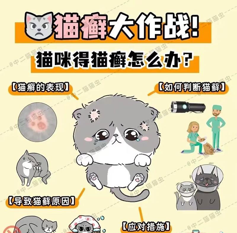 揭秘猫癣（了解猫癣，保护爱宠健康）