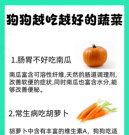 狗狗的健康饮食——蔬菜的选择（优质蔬菜，守护宠物健康）