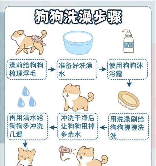 狗狗生宝宝多久可以洗澡？（了解狗狗产后洗澡的最佳时机）
