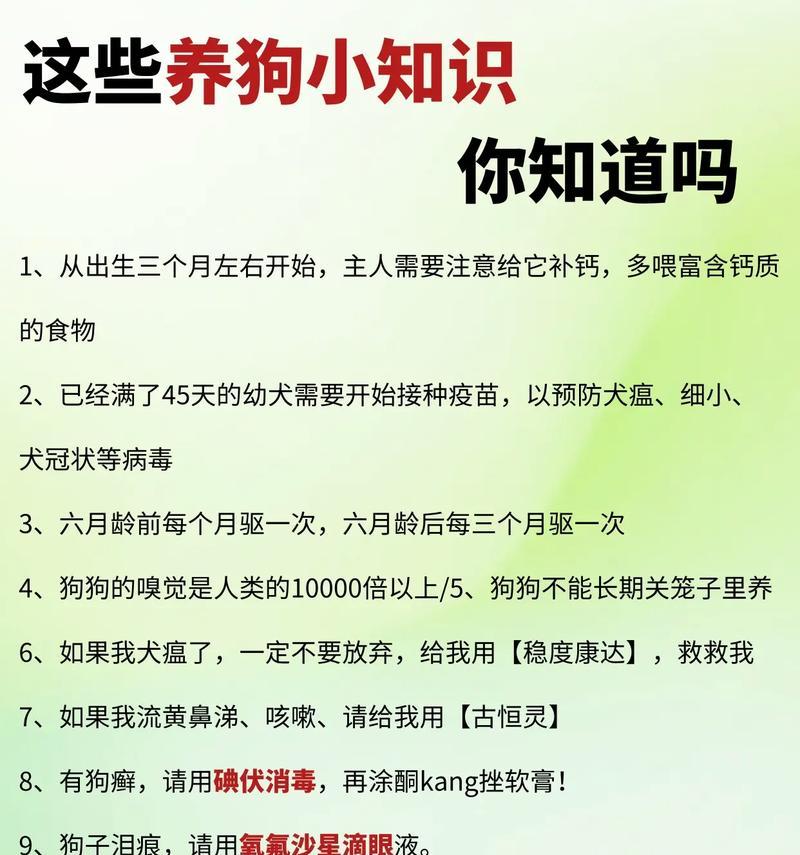 两个月大的狗狗应该吃什么？（为你的小狗提供均衡营养的饮食）