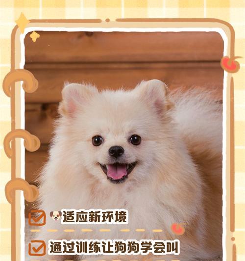 狗狗晚上叫多久会好？（解决狗狗夜间叫闹问题的方法和技巧）