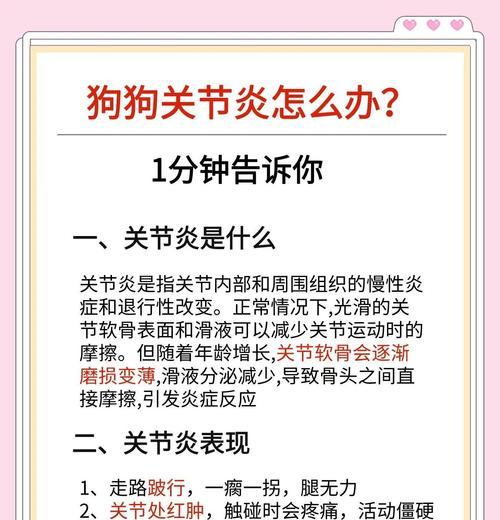 狗狗关节炎（关节炎对狗狗寿命的影响及如何延长健康生活）