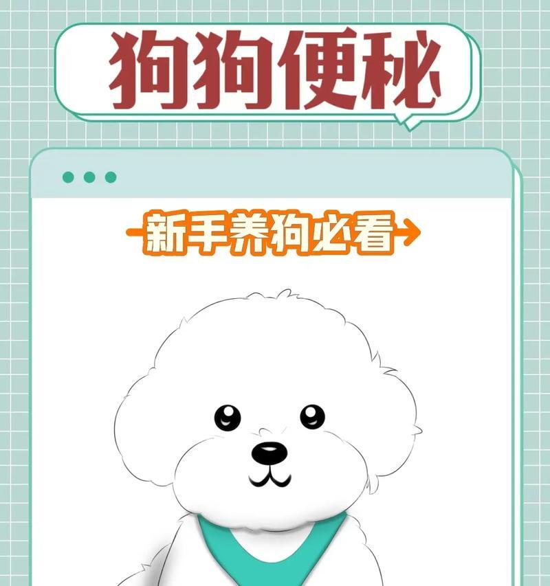 小狗多久大便一次？（探讨小狗排便频率和注意事项）