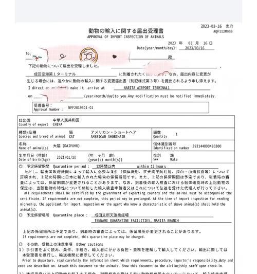 宠物狗的证件需求（了解养狗需要哪些证件，让你成为合格的狗主人）