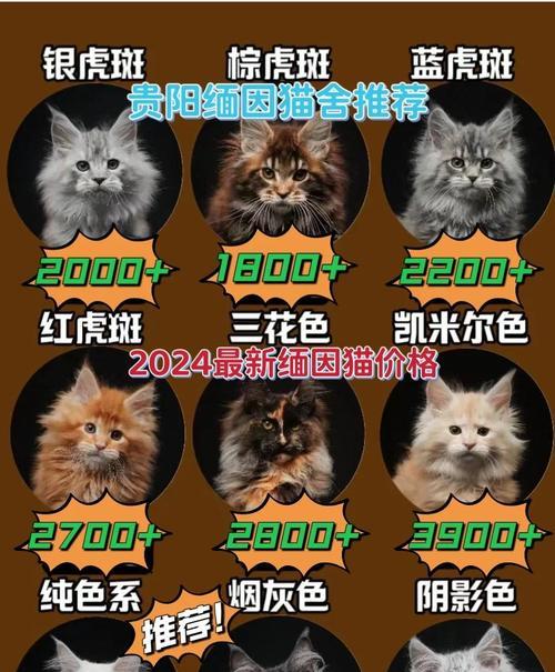 缅因猫长毛需要多久？（探索缅因猫毛发生长的时间和特点）