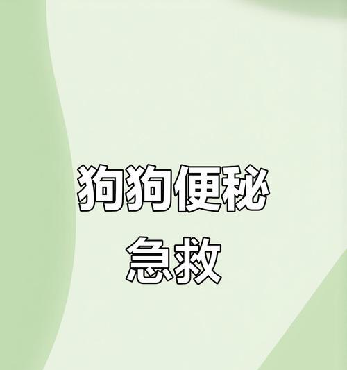 狗狗便秘的常见原因和防治方法（为你的毛孩解决烦恼，让它顺畅如常）